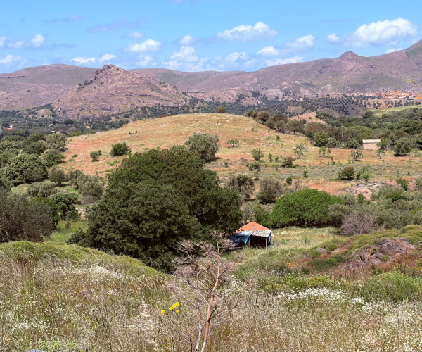 Kampos Eressos, Lesvos Island 81105, 0 , 0 ,0,House and Land,For Sale,0,1340