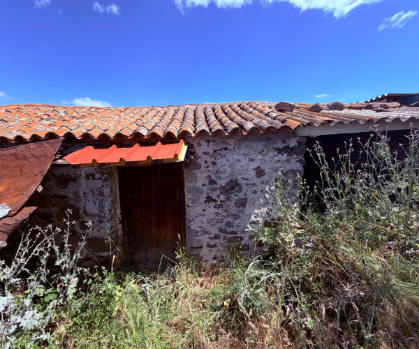 Kampos Eressos, Lesvos Island 81105, 0 , 0 ,0,House and Land,For Sale,0,1340