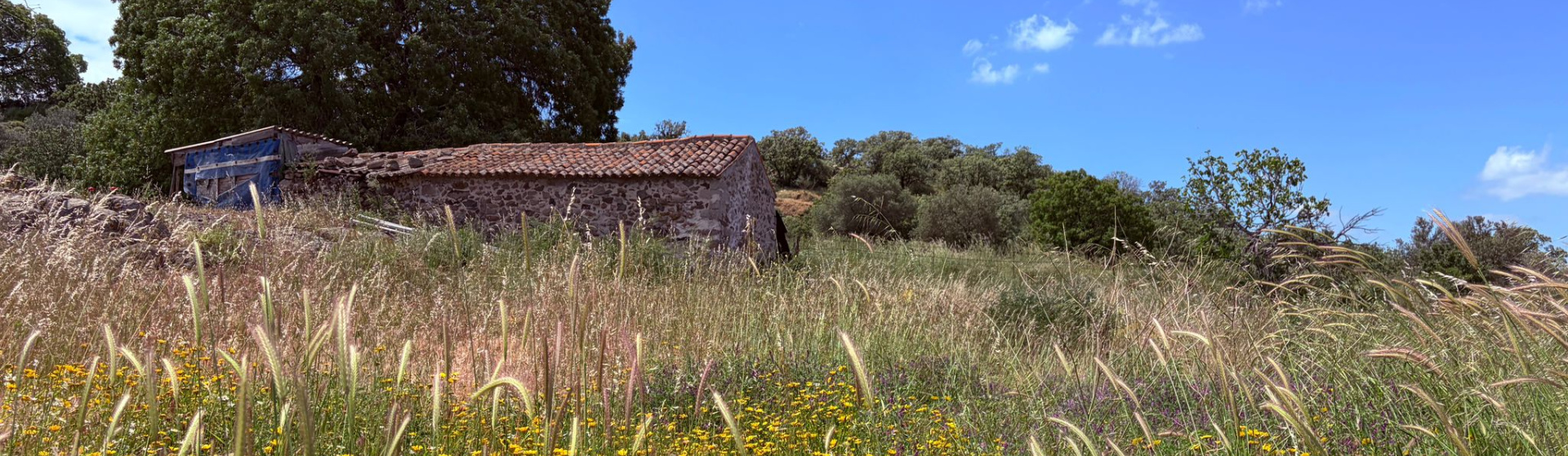 Kampos Eressos, Lesvos Island 81105, 0 , 0 ,0,House and Land,For Sale,0,1340