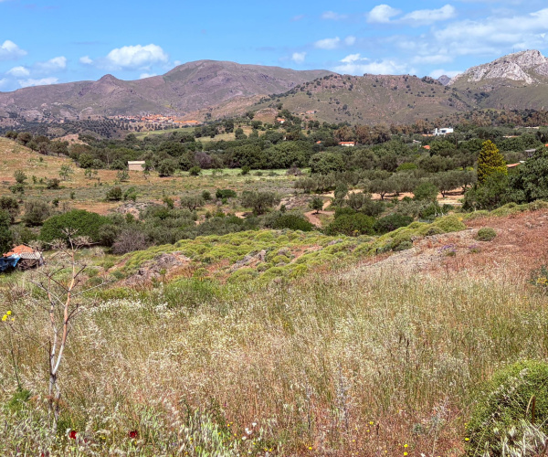 Kampos Eressos, Lesvos Island 81105, 0 , 0 ,0,House and Land,For Sale,0,1340