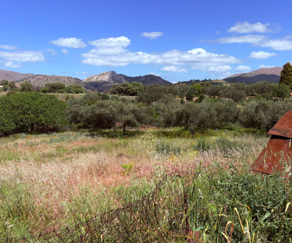 Kampos Eressos, Lesvos Island 81105, 0 , 0 ,0,House and Land,For Sale,0,1340