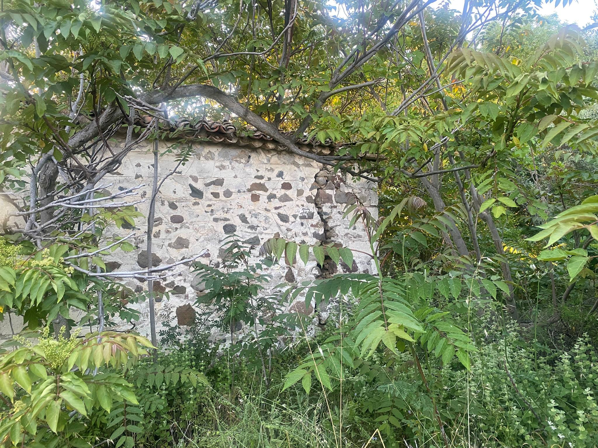 Kampos Eressos, Lesvos Island 81105, 0 , 0 ,0,House and Land,For Sale,0,1348