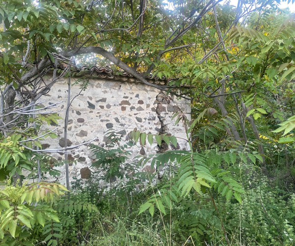 Kampos Eressos, Lesvos Island 81105, 0 , 0 ,0,House and Land,For Sale,0,1348