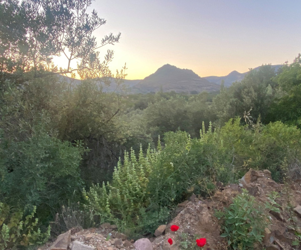 Kampos Eressos, Lesvos Island 81105, 0 , 0 ,0,House and Land,For Sale,0,1348