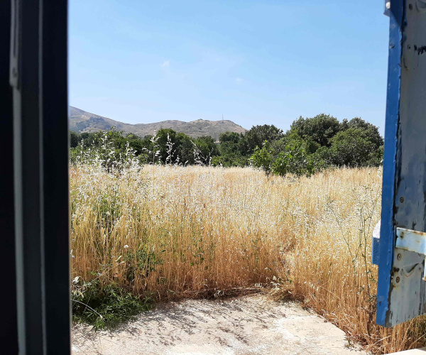 Kampos Eressos, Lesvos Island 81105, 1 Bedroom Bedrooms, 0 ,1 BathroomBathrooms,House and Land,For Sale,0,1349