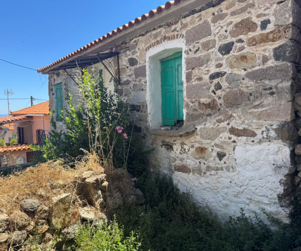 ANTISSA, Lesvos Island 81103, 0 , 0 ,0,House,For Sale,0,1351