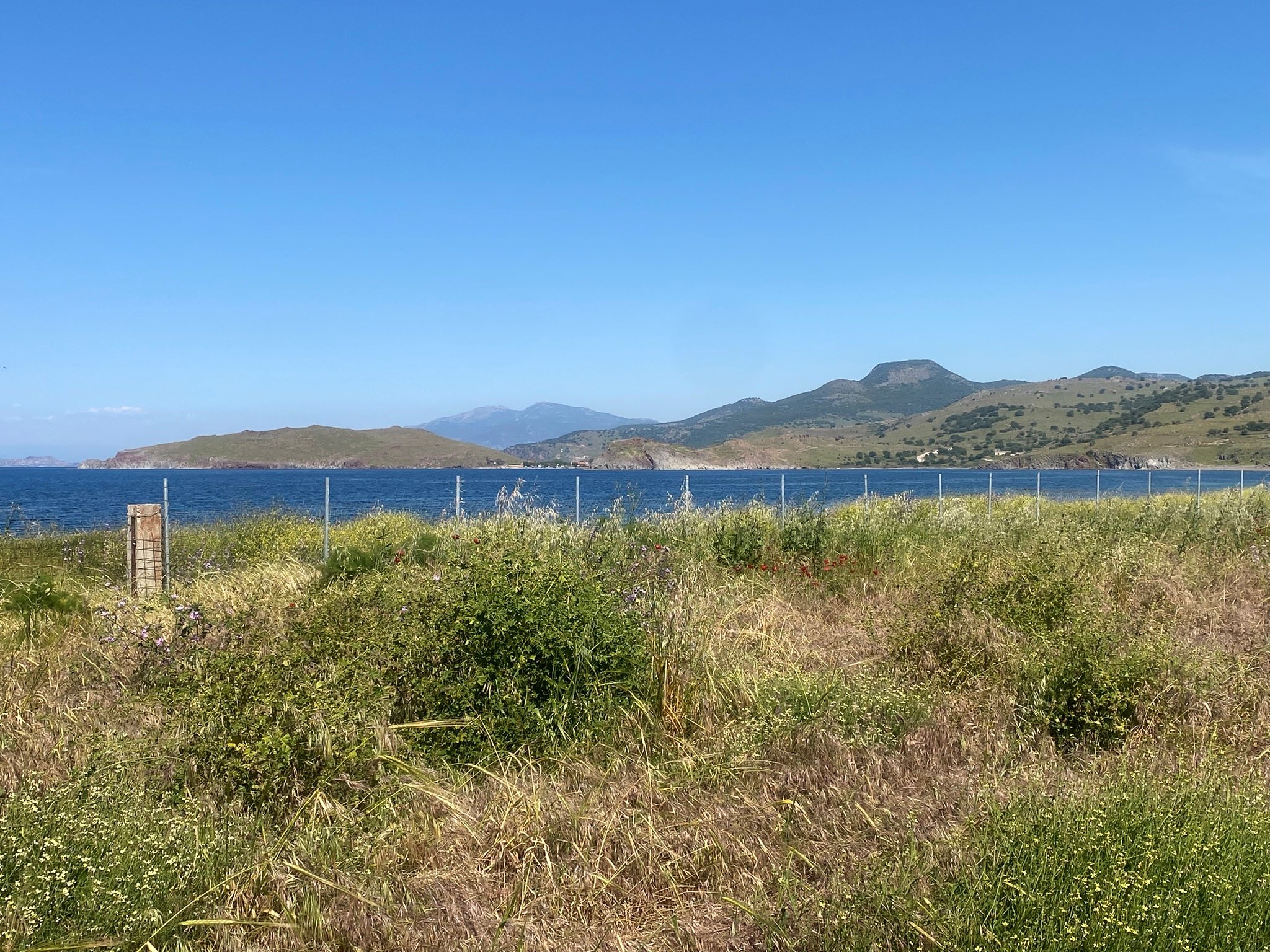 ANTISSA, Lesvos Island 81103, 0 , 0 ,0,Land Plot,For Sale,0,1352