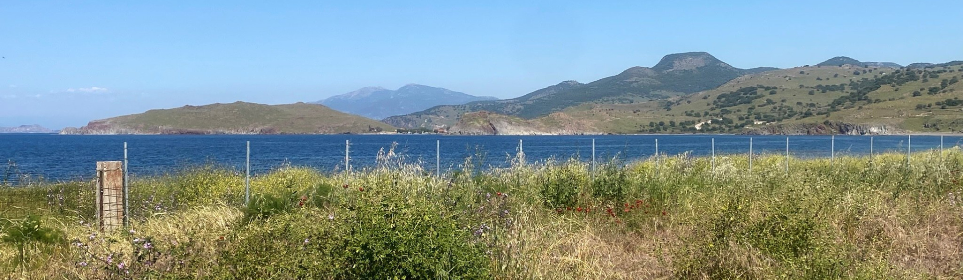 ANTISSA, Lesvos Island 81103, 0 , 0 ,0,Land Plot,For Sale,0,1352