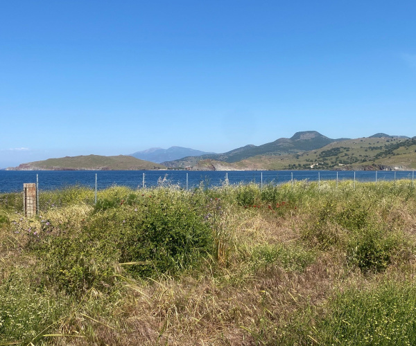 ANTISSA, Lesvos Island 81103, 0 , 0 ,0,Land Plot,For Sale,0,1352