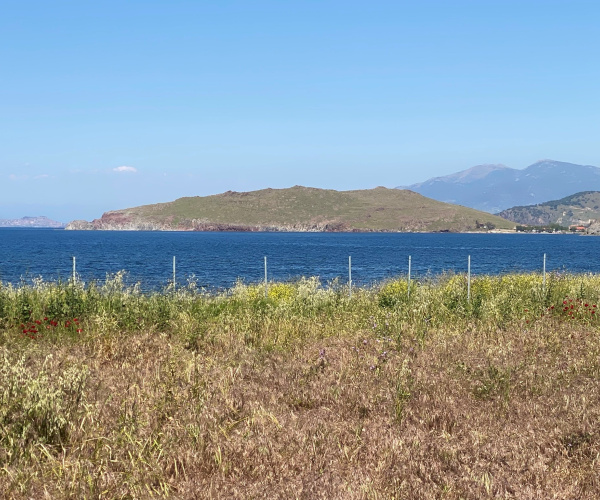 ANTISSA, Lesvos Island 81103, 0 , 0 ,0,Land Plot,For Sale,0,1352