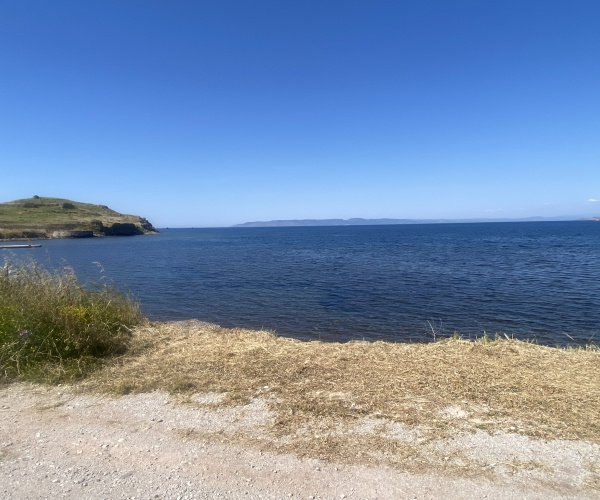 ANTISSA, Lesvos Island 81103, 0 , 0 ,0,Land Plot,For Sale,0,1352