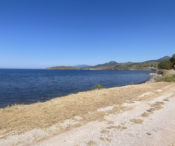 ANTISSA, Lesvos Island 81103, 0 , 0 ,0,Land Plot,For Sale,0,1352