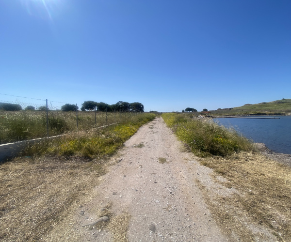 ANTISSA, Lesvos Island 81103, 0 , 0 ,0,Land Plot,For Sale,0,1352