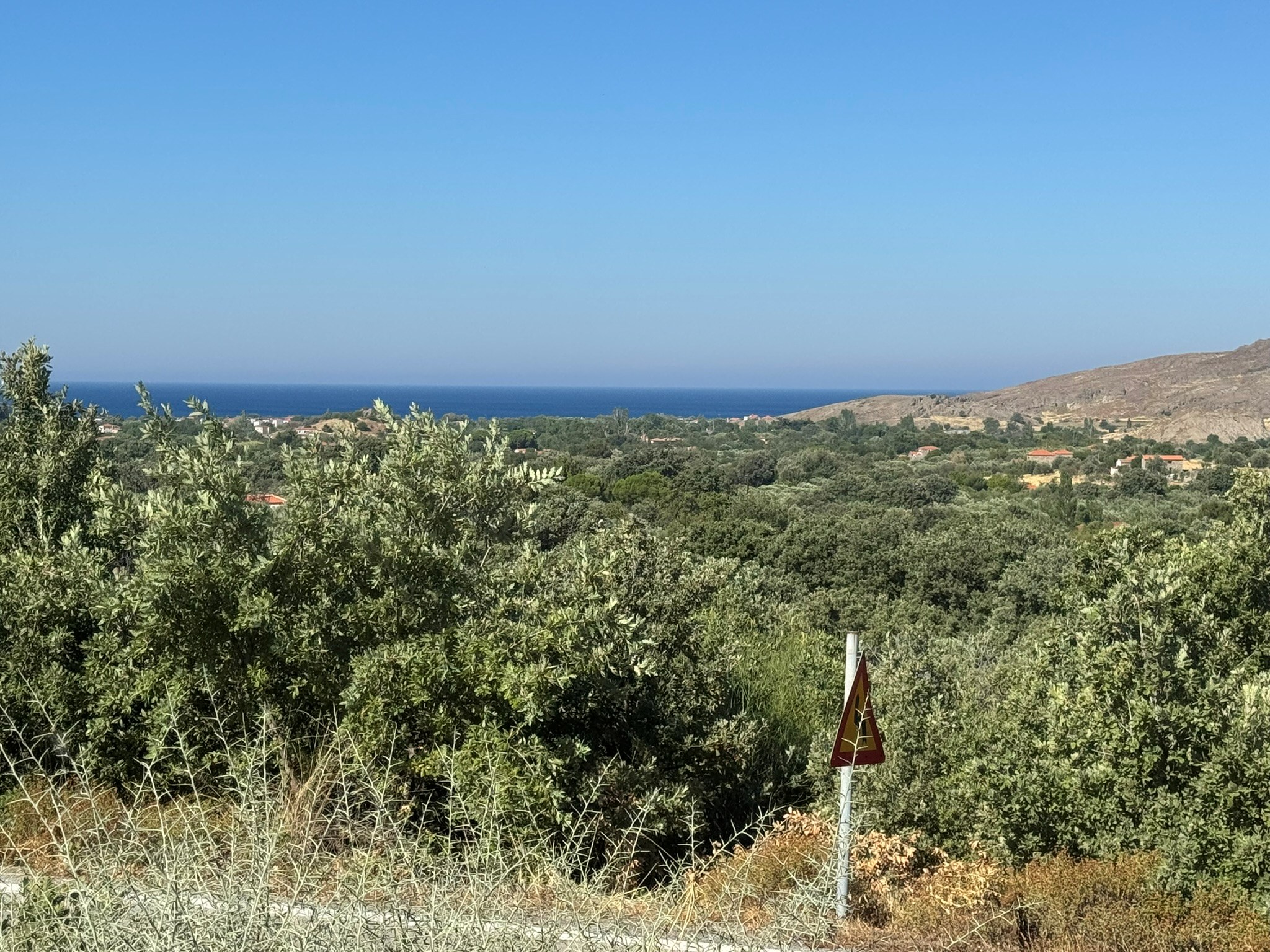 Eressos, Lesvos Island 81105, 0 , 0 ,0,Land Plot,For Sale,0,1353