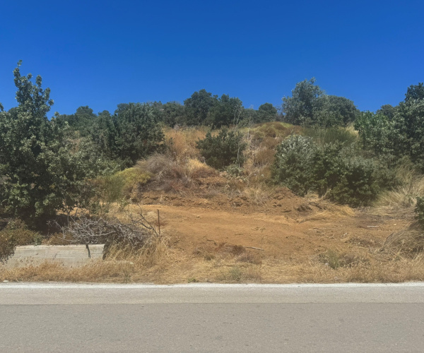 Eressos, Lesvos Island 81105, 0 , 0 ,0,Land Plot,For Sale,0,1353