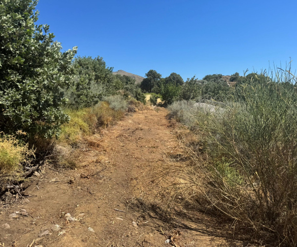 Eressos, Lesvos Island 81105, 0 , 0 ,0,Land Plot,For Sale,0,1353