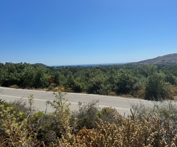 Eressos, Lesvos Island 81105, 0 , 0 ,0,Land Plot,For Sale,0,1353