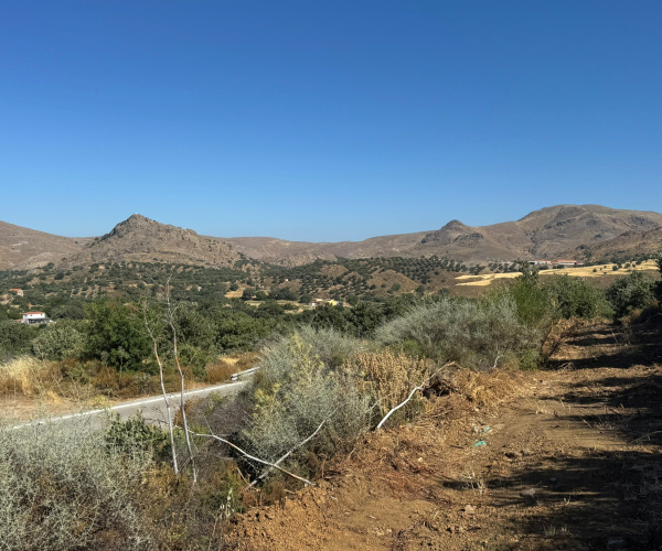 Eressos, Lesvos Island 81105, 0 , 0 ,0,Land Plot,For Sale,0,1353