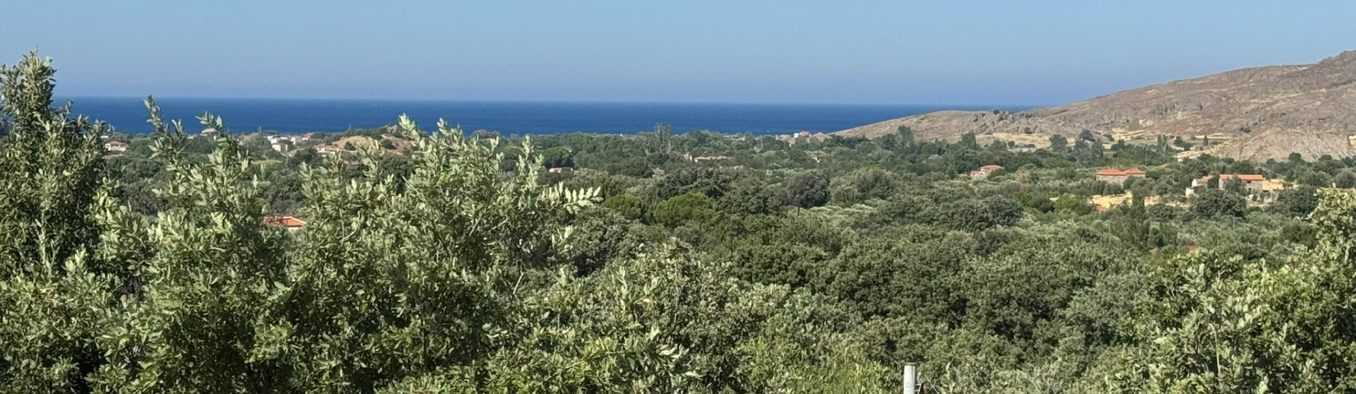 Eressos, Lesvos Island 81105, 0 , 0 ,0,Land Plot,For Sale,0,1353