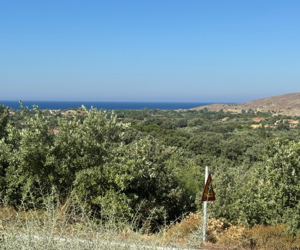 Eressos, Lesvos Island 81105, 0 , 0 ,0,Land Plot,For Sale,0,1353