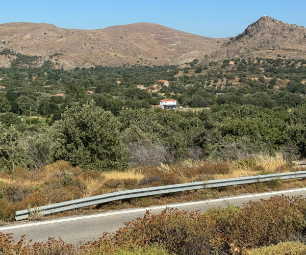 Eressos, Lesvos Island 81105, 0 , 0 ,0,Land Plot,For Sale,0,1353