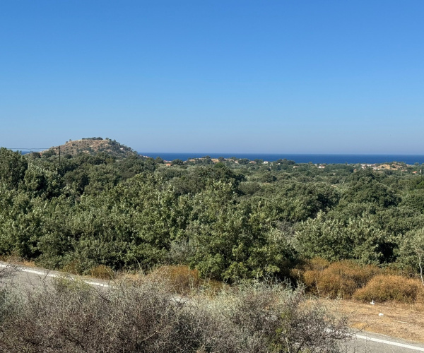 Eressos, Lesvos Island 81105, 0 , 0 ,0,Land Plot,For Sale,0,1353