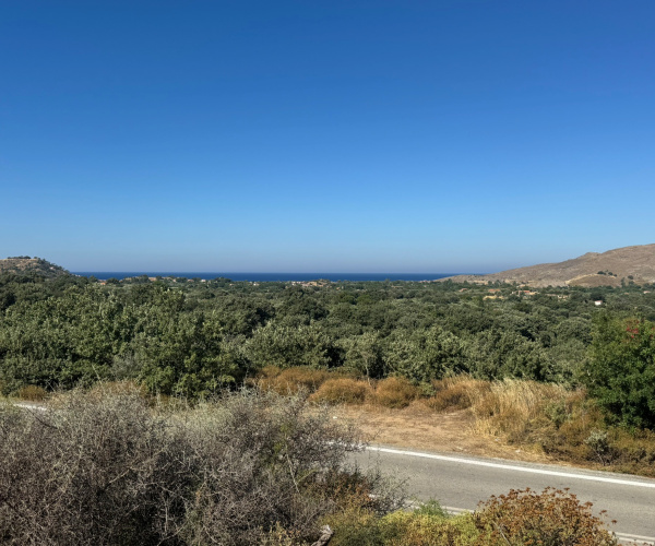 Eressos, Lesvos Island 81105, 0 , 0 ,0,Land Plot,For Sale,0,1353