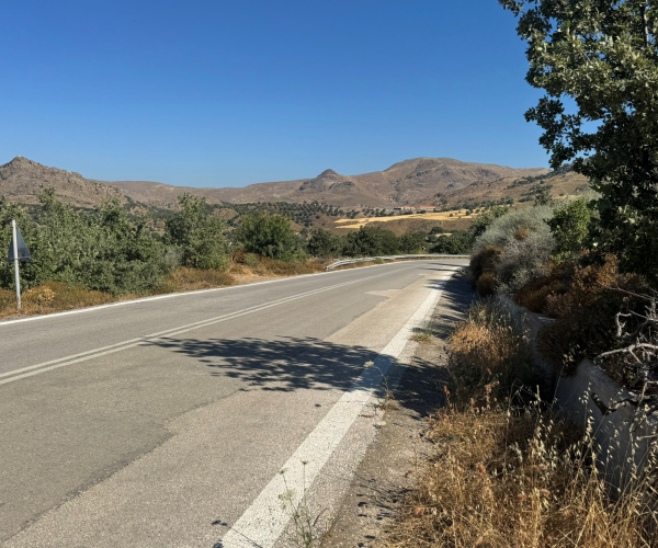 Eressos, Lesvos Island 81105, 0 , 0 ,0,Land Plot,For Sale,0,1353