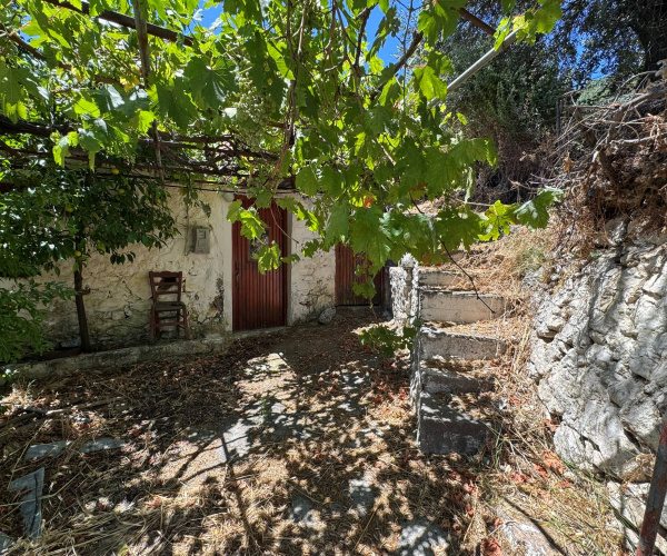 Liota, Lesvos Island 81103, 0 , 0 ,0,House and Land,For Sale,0,1358