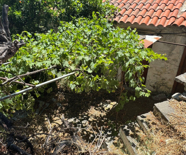 Liota, Lesvos Island 81103, 0 , 0 ,0,House and Land,For Sale,0,1358