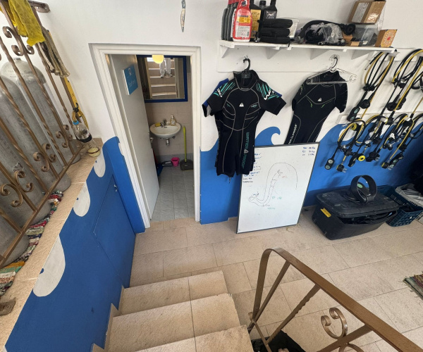 Skala Eressos, Lesvos Island 81105, 0 , 0 ,0,Business,For Sale,0,1360