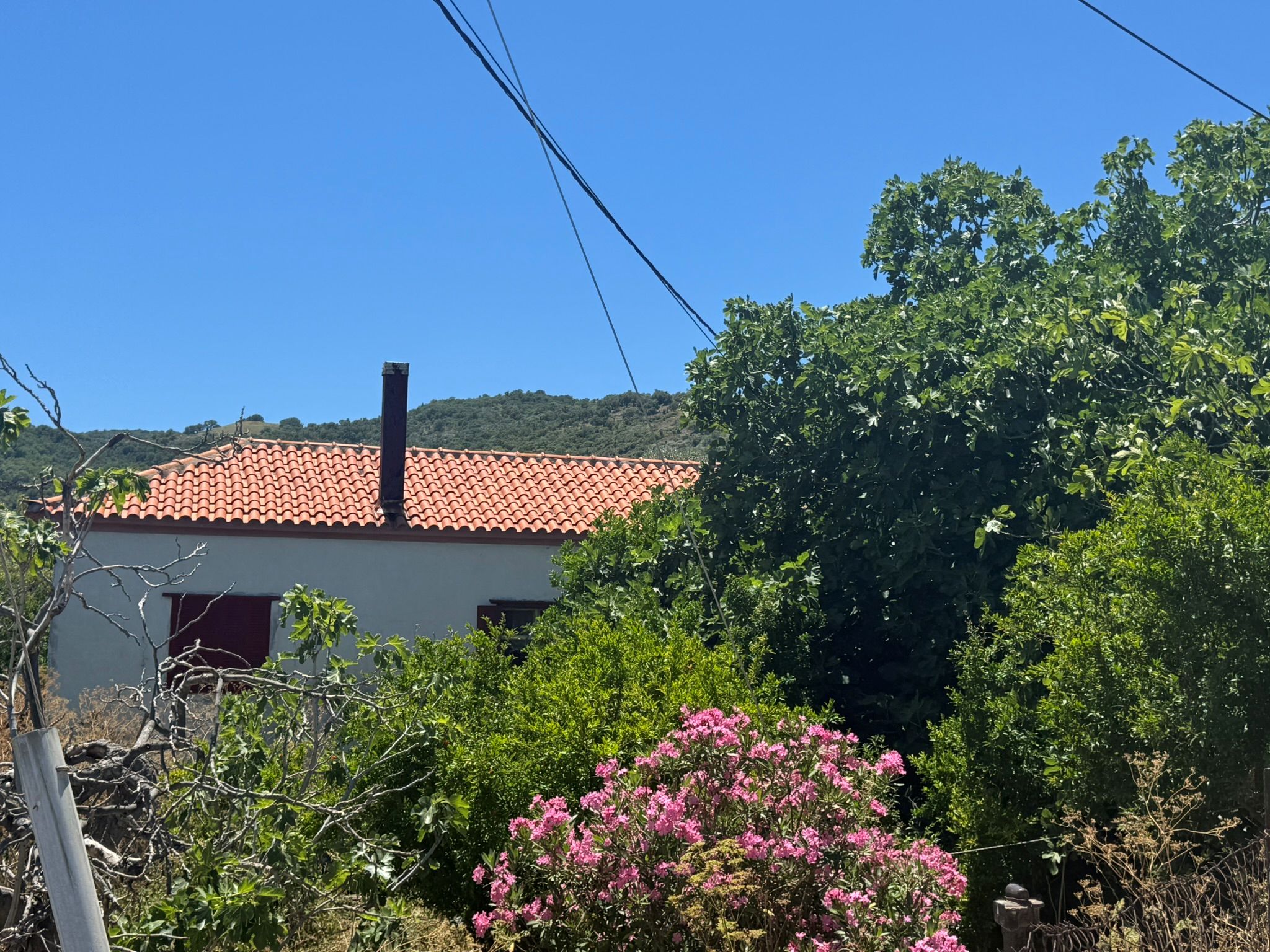 Liota, Lesvos Island 81105, 2 Bedrooms Bedrooms, 0 ,0,House,For Sale,0,1363
