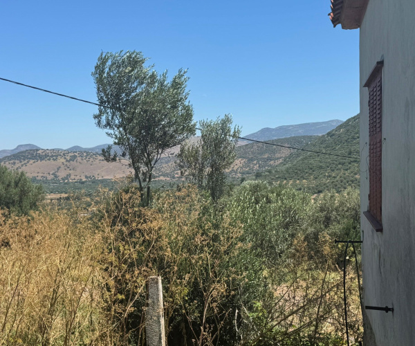 Liota, Lesvos Island 81105, 2 Bedrooms Bedrooms, 0 ,0,House,For Sale,0,1363