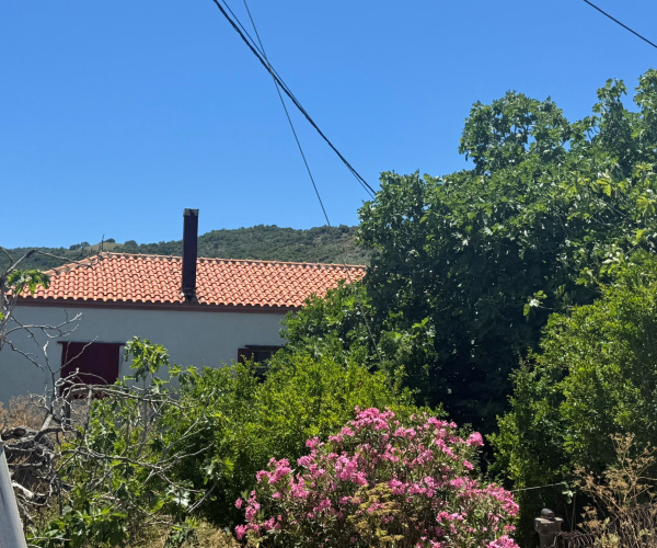 Liota, Lesvos Island 81105, 2 Bedrooms Bedrooms, 0 ,0,House,For Sale,0,1363