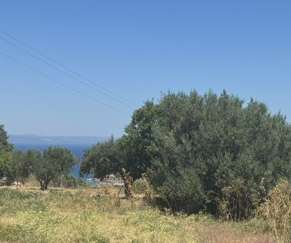 Liota, Lesvos Island 81105, 2 Bedrooms Bedrooms, 0 ,0,House,For Sale,0,1363