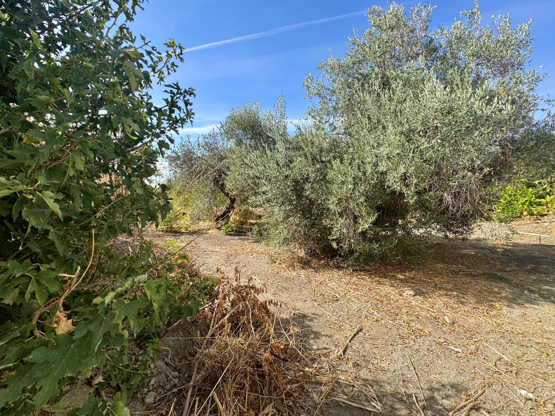 0 , 0 ,0,Land Plot,For Sale,0,1370
