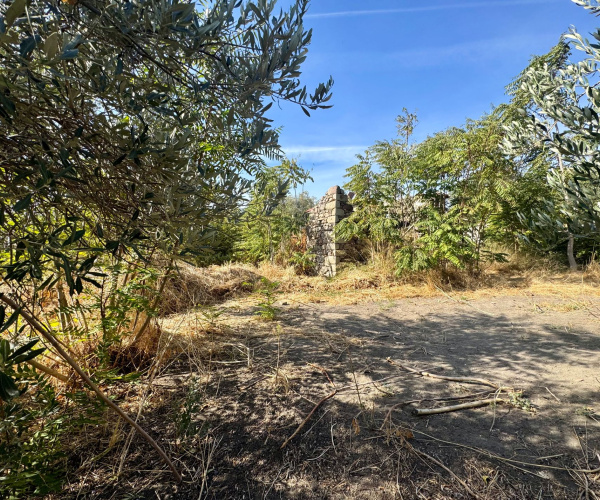 0 , 0 ,0,Land Plot,For Sale,0,1370