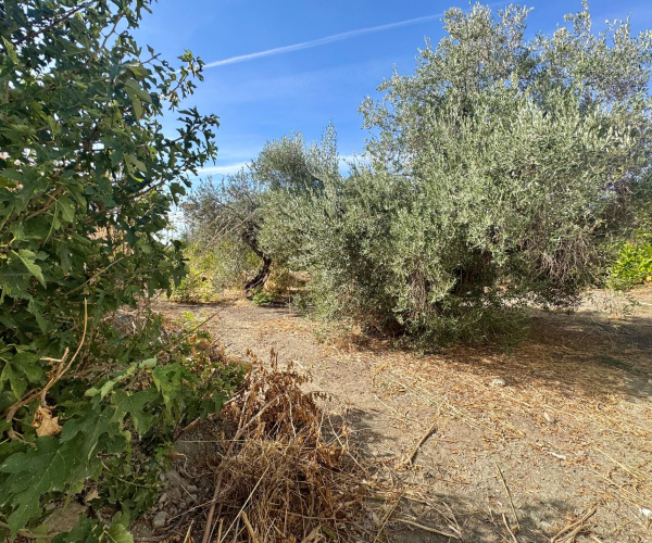 0 , 0 ,0,Land Plot,For Sale,0,1370