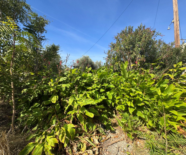 0 , 0 ,0,Land Plot,For Sale,0,1370