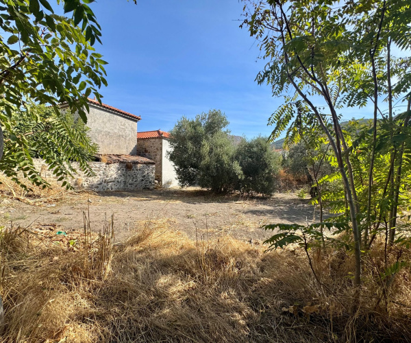 0 , 0 ,0,Land Plot,For Sale,0,1370