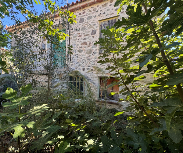 2 Bedroom Bedrooms, 0 ,1 BathroomBathrooms,House,For Sale,0,1371