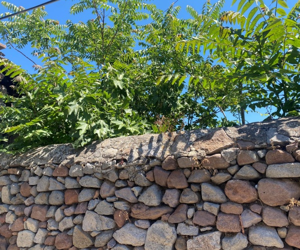 Eressos, Lesvos Island 81105, ,1 BathroomBathrooms,House,For Sale,1045