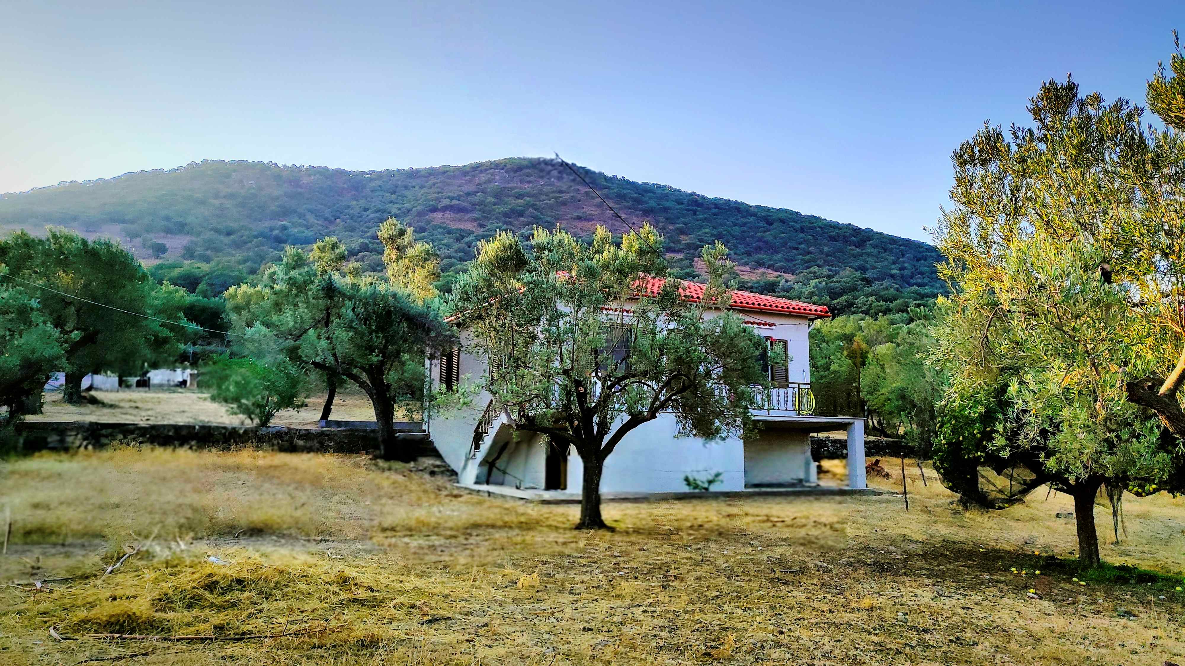 Gavathas, Lesvos Island 81103, 2 Bedrooms Bedrooms, 0 ,1 BathroomBathrooms,House and Land,For Sale,0,1054 Gavathas, Lesvos Island 81103, 2 Bedrooms Bedrooms, 0 ,1 BathroomBathrooms,House and Land,For Sale,0,1054