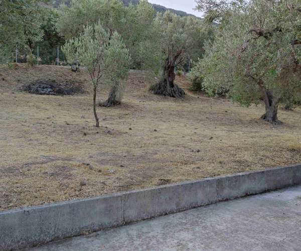 Gavathas, Lesvos Island 81103, 2 Bedrooms Bedrooms, 0 ,1 BathroomBathrooms,House and Land,For Sale,0,1054