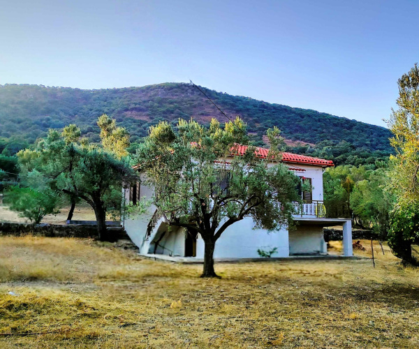 Gavathas, Lesvos Island 81103, 2 Bedrooms Bedrooms, 0 ,1 BathroomBathrooms,House and Land,For Sale,0,1054