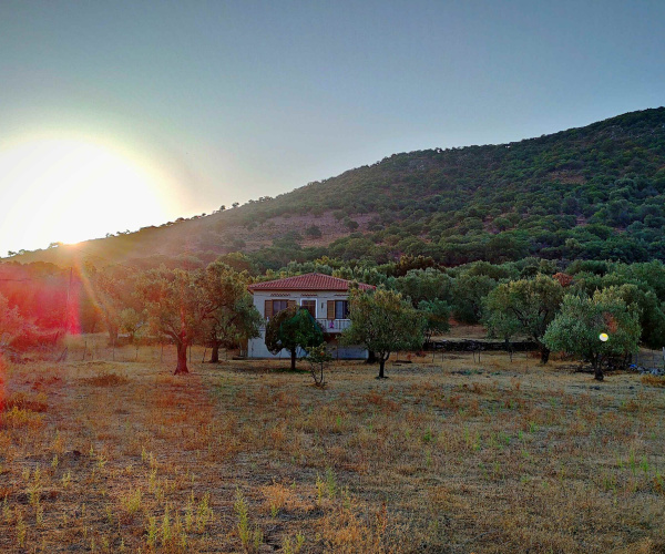 Gavathas, Lesvos Island 81103, 2 Bedrooms Bedrooms, 0 ,1 BathroomBathrooms,House and Land,For Sale,0,1054