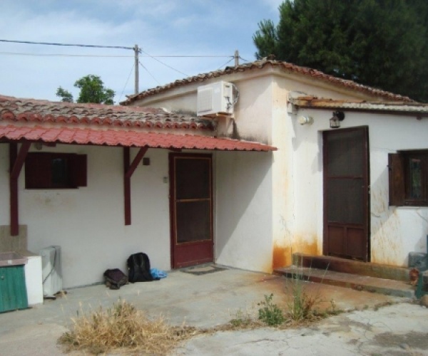 Kampos Eressos, Lesvos Island 81105, 1 Bedroom Bedrooms, ,1 BathroomBathrooms,House,For Sale,1008