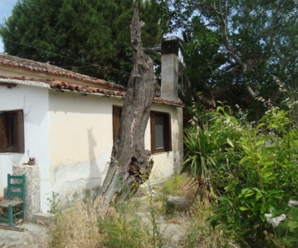 Kampos Eressos, Lesvos Island 81105, 1 Bedroom Bedrooms, ,1 BathroomBathrooms,House,For Sale,1008